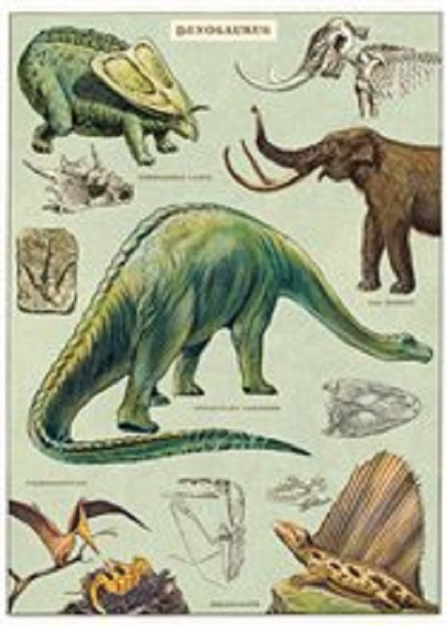 Poster or Gift Wrap - Dinosaurs