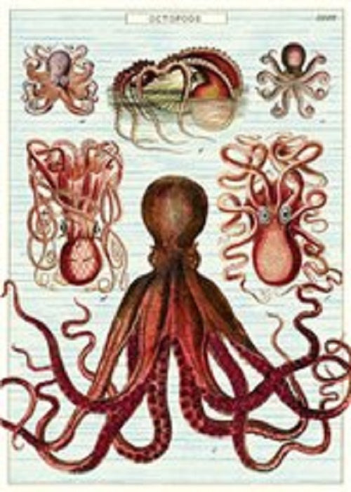 Poster or Gift Wrap Octopods