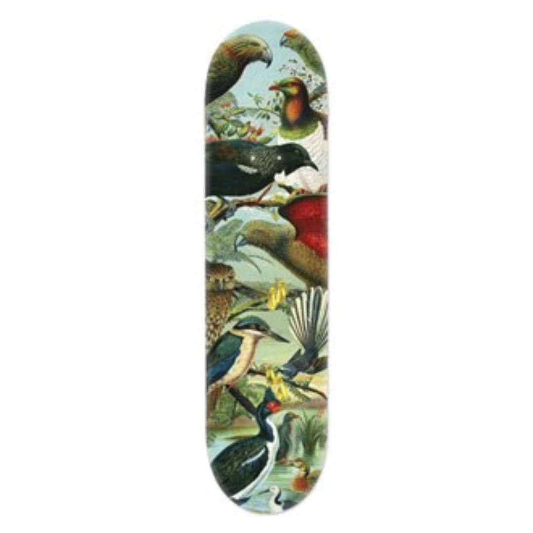 Native Birds of New Zealand Skate Board Deck Art